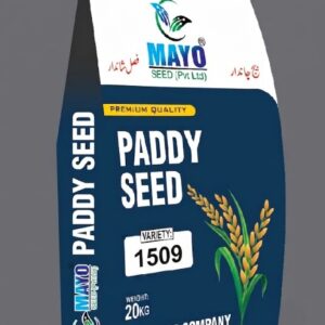 Rice Seed / Paddy Seed Variety 1509
